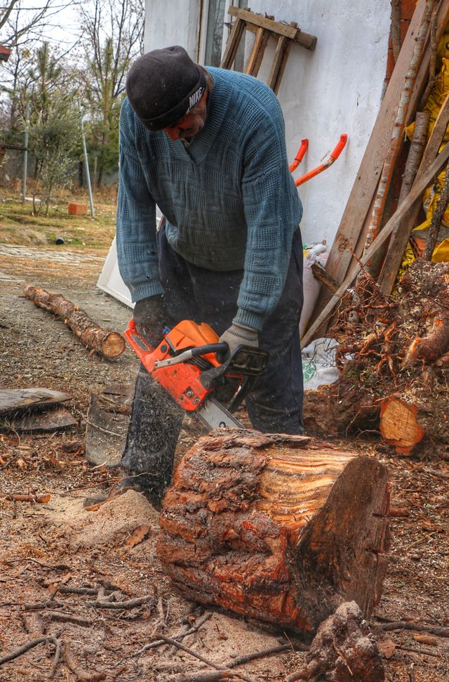 https://woodkaar.com/tree-stump-side-table-expert-guide-to-making-styling-maintaining/