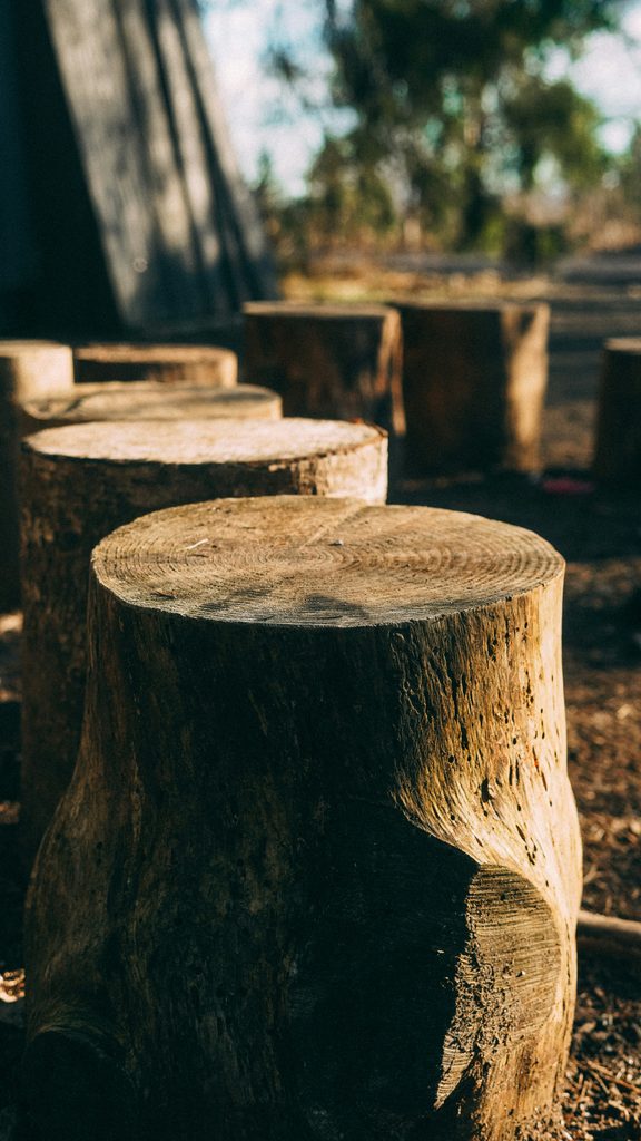 Tree Stump Removal Cost